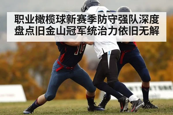 职业橄榄球新赛季防守强队深度盘点旧金山冠军统治力依旧无解