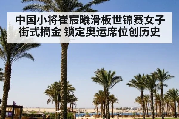 中国小将崔宸曦滑板世锦赛女子街式摘金 锁定奥运席位创历史