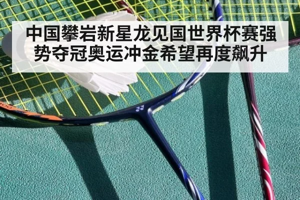 中国攀岩新星龙见国世界杯赛强势夺冠奥运冲金希望再度飙升